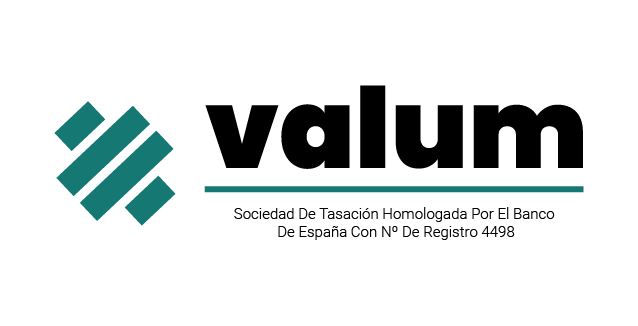 Logo Valum - Sociedad Homologada_Mesa de trabajo 1 copia 2_Mesa de trabajo 1 copia 2
